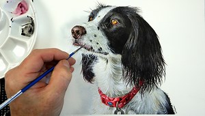 There can't be many watercolour video tutorials which include the sound of their village church bells. Fitting really as the delightful model for the painting lives in our village too. I hope you like it and feel free to share. https://devonartist.co.uk/ | The Devon Artist