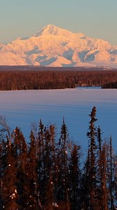 Denali on a clear winter day! #alaska #adventureoutside #alaskaadventure #alaskaliving #denali #denalinationalpark #explore #fyp | Colter Broadwell Photography