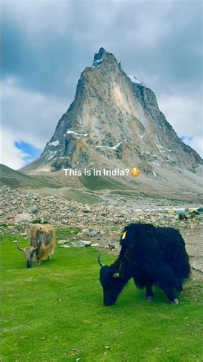 🏔️ 5 DAYS IN ZANSKAR VALLEY: THE ULTIMATE ROAD TRIP 🚀