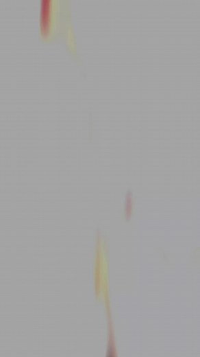 Carnaval 2025 🥰🥰 ALLJU VIDAYKITA