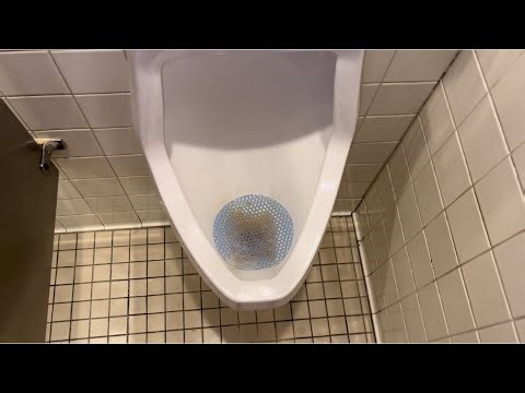 Red Robin Men's Restroom