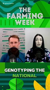 ICBF improving genotyping programme after farmer concerns The Irish...