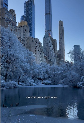 Discover Winter Wonderland in Central Park, NYC