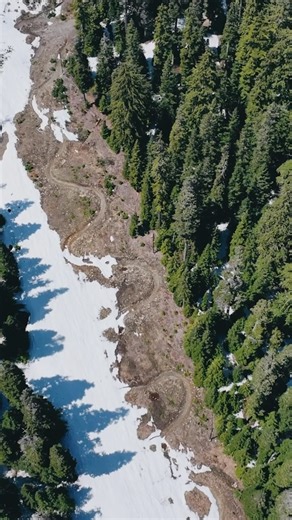 11K views · 24 reactions | Snow Report: it’s still here. We’re not-so-patiently waiting for the trails to emerge from their winter blankets. As soon as they’re accessible, our trail crew will start the repair work that needs to be done as a result of the snowmelt. We want to get your tires on these tracks ASAP! Which trails can you see poking through? | The Summit at Snoqualmie | Facebook