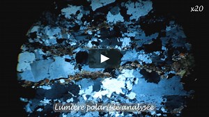 Une lame de gneiss vue au microscope polarisant