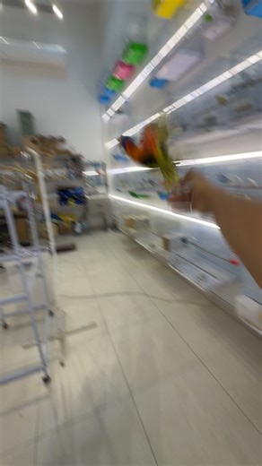 استمتع بموسم الرياض مع ببغاء ملون