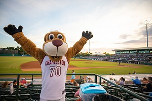 Charleston RiverDogs to Host CofC Faculty, Staff for CofC Night