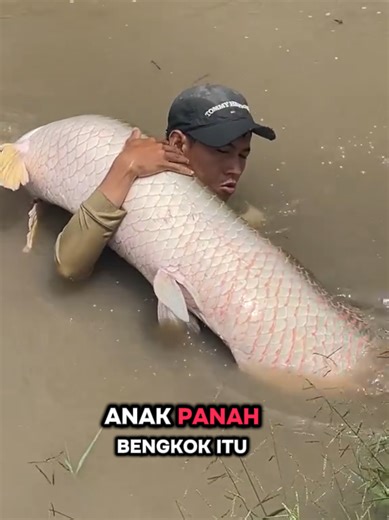 Resep Ikan Besar: Masak Apa Hari Ini?