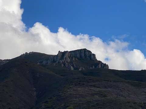 03 07 2026 LIVE TAROT THROW-Tarot for the Audience; Get in God's Zeppelin: perspective via dialogue