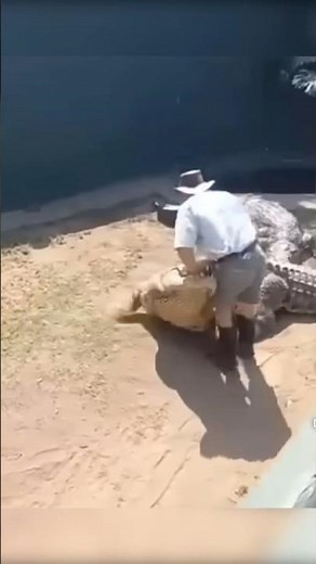 Gator Death Roll : How to Survive It