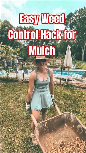 Stop Weeds Permanently with This Simple Trick!