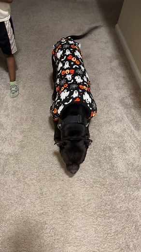 Old man @highlight | Treys Man Cave | Facebook