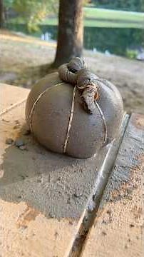 Throwback Thursday to one of my favorite fall crafts — making concrete pumpkins! #fallintoshorts