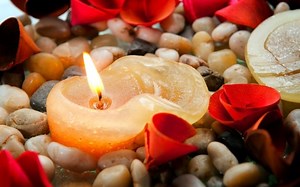 Candle Warmer vs. Mug Warmer: How to Tell Them Apart?