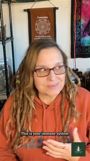 Gaia's Sanctorum on Instagram: "UNDERSTANDING IMMUNOMODULATORS AND THEIR IMPACT 👉 Watch the full video https://youtu.be/6THkmYuaJ2M for complete breakdown of how tulsi works as an immunomodulator in your body. Immunomodulators are herbs that help regulate your immune system rather than just boosting it. This is crucial because sometimes your immune system needs to calm down, not ramp up. Tulsi is a perfect example of an immunomodulator. It doesn't just blindly stimulate your immune response. In