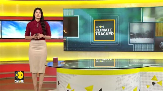 Focus on forest conservation and climate action