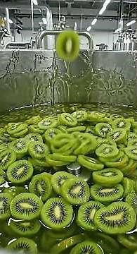 Inside a Massive Dried Kiwi Factory 🥝 | Full Production Process #factory #foodprocess #viral #food
