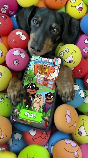 Crusoe's Squeaky Ball POP - A Fun, Challenging Puzzle Game!