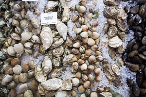 The 3 Labels Andrew Zimmern Says You Should Look for When Buying Seafood