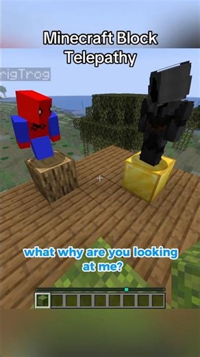 Minecraft Block Telepathy.. REALLY FUNNY
