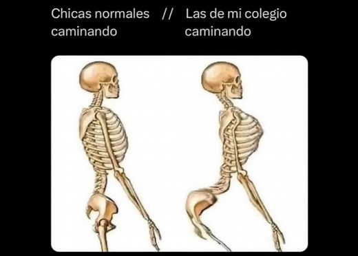 Momazos Lois and More: Funny Memes Compilation