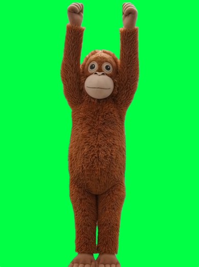 An adorable green screen CapCut template of a cute monkey doing @71cent’s viral Baby Boo dance trend with full “Baby Boo syndrome” energy — tiny shoulder bounces, quick foot taps, and chaotic cute moves perfectly synced to the iconic beat. The Baby Boo dance has taken over TikTok with its fast rhythm and instantly recognizable choreography, making it perfect for high-engagement meme edits and FYP visibility. Drop your own photo or video underneath the dancing monkey and let the built-in sound an