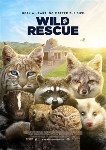 Wild Rescue (2025) - Movie