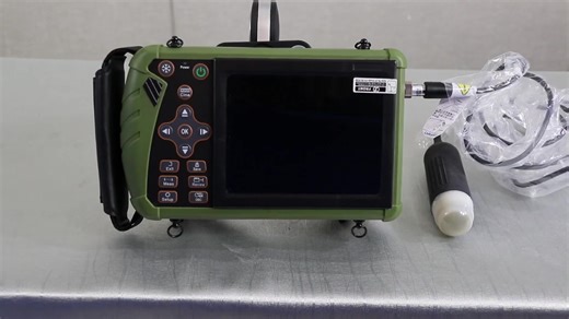 Veterinary Instruments Animal Portable Ultrasound Scanner Machine Pregnancy Digital Veterinary Ultrasound Diagnostic System