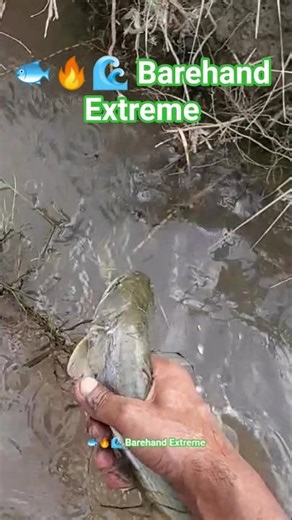 🐟🔥🌊 Barehand Extreme Fishing 🎣💪 #Shorts