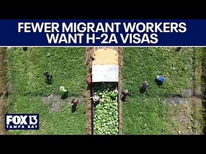 Farmers see fewer farmworker applications