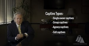 Types of Captives