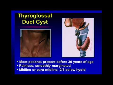 Sonographic Evaluation of Masses in the Neck