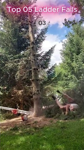 Top 05 Ladder Fails #funnyfails