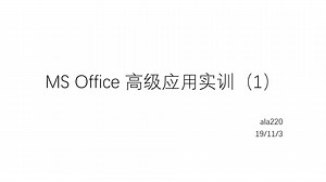 MS Office高级应用实训（1）
