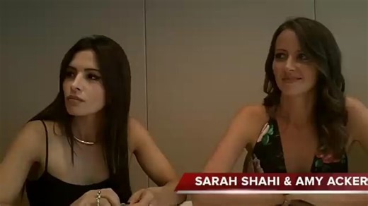 Sarah Shahi 和 Amy Acker关于《疑犯追踪》第四季采访