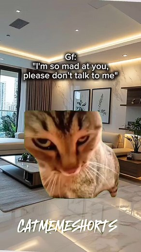 CAR MEMES 🙀 Maybe your girlfriend have red days #MeowMeme #CatChaos2025 #gf #bf #overthinking #funny #relatemuch #memes #relationship #relatable #catmeme | Cat Memes Shorts