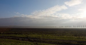 EGEB: A Dutch pilot project will combine solar and strip farming