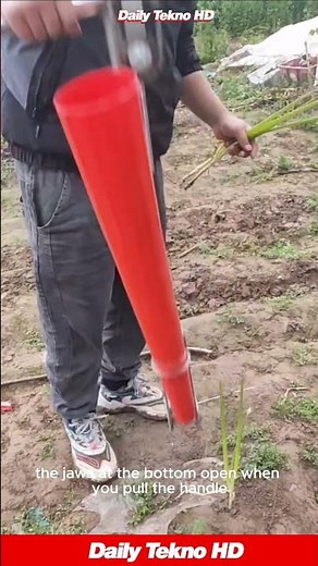 Planting seedlings without bending over 🌱 This tool is a lifesaver! #GardeningHack