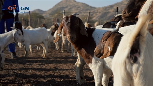 2.8K views · 46 reactions |  Big things are happening in Erongo! On...