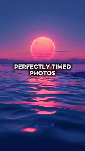 Perfectly Timed Photos ✨ #iwonderalot #fblifestyle | iWonderalot