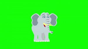 funny cartoon elephant animation green background