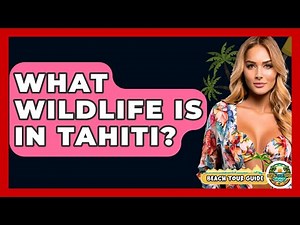 What Wildlife Is In Tahiti? - Beach Tour Guide