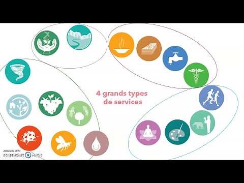 Les services écosystémiques