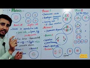 Meiosis class 8 science | Meiosis I | Meiosis II | Crossing over | Genetic recombination