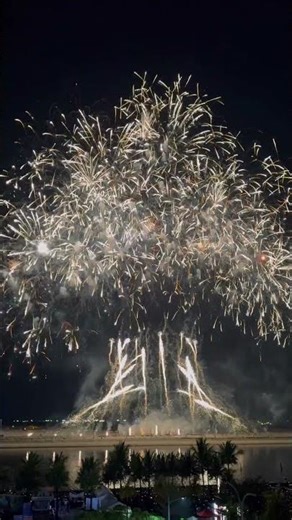 Tree of Life portion from Polaris Fireworks at The Philippine International Pyromusical Competition