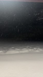 Good morning! | Margo Stanke