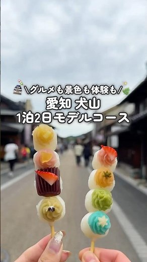 [No Car Needed] From Food Tours to National Treasures! Inuyama Itinerary 🏯🍡 #shorts