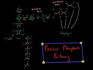 Pentose Phosphate Pathway (EVERYTHING YOU NEED TO KNOW BIOCHEMISTRY MCAT)
