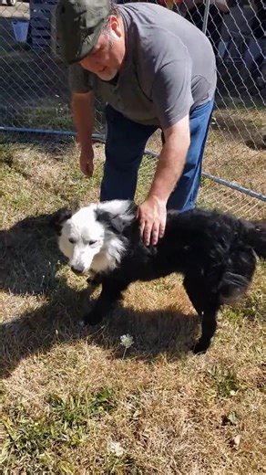 1.3K views · 120 reactions | Richard and Turbo are friendly,...