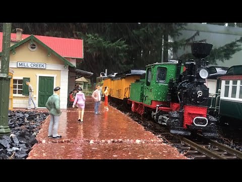 GARDEN TRAINS IN THE RAIN
